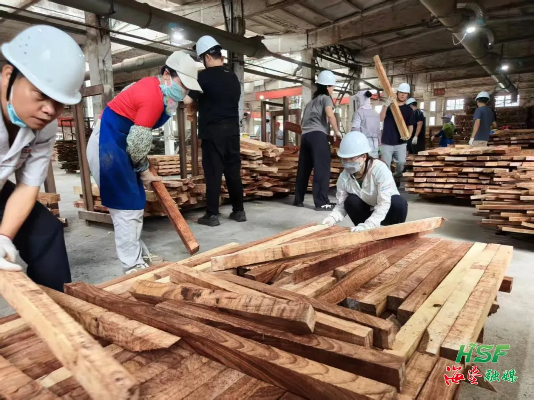 1763512657386020784.jpg 1763512657386020784.jpg